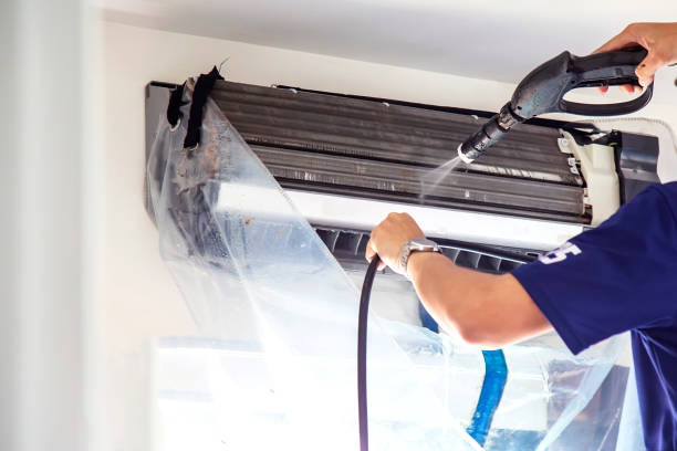 Best Ventilation Cleaning Services  in Webberville, MI