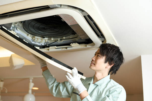 Best Professional Duct Cleaning Services  in Webberville, MI