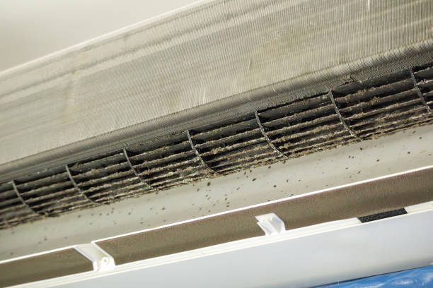 HVAC System Cleaning in MI