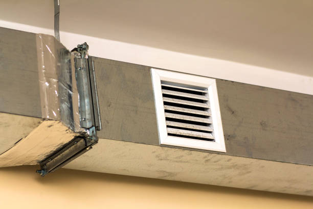 Best Air Vent Cleaning Services  in Webberville, MI